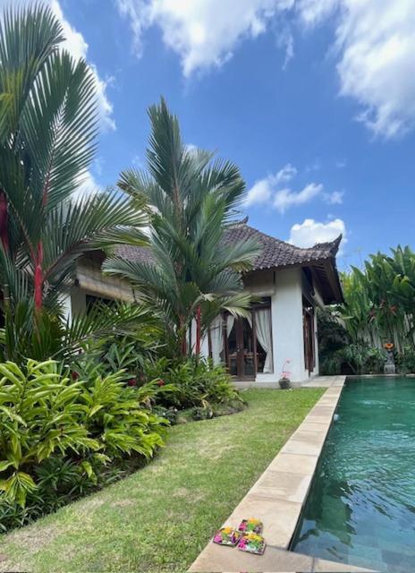 Villa Exotica Ubud  Luaran gambar
